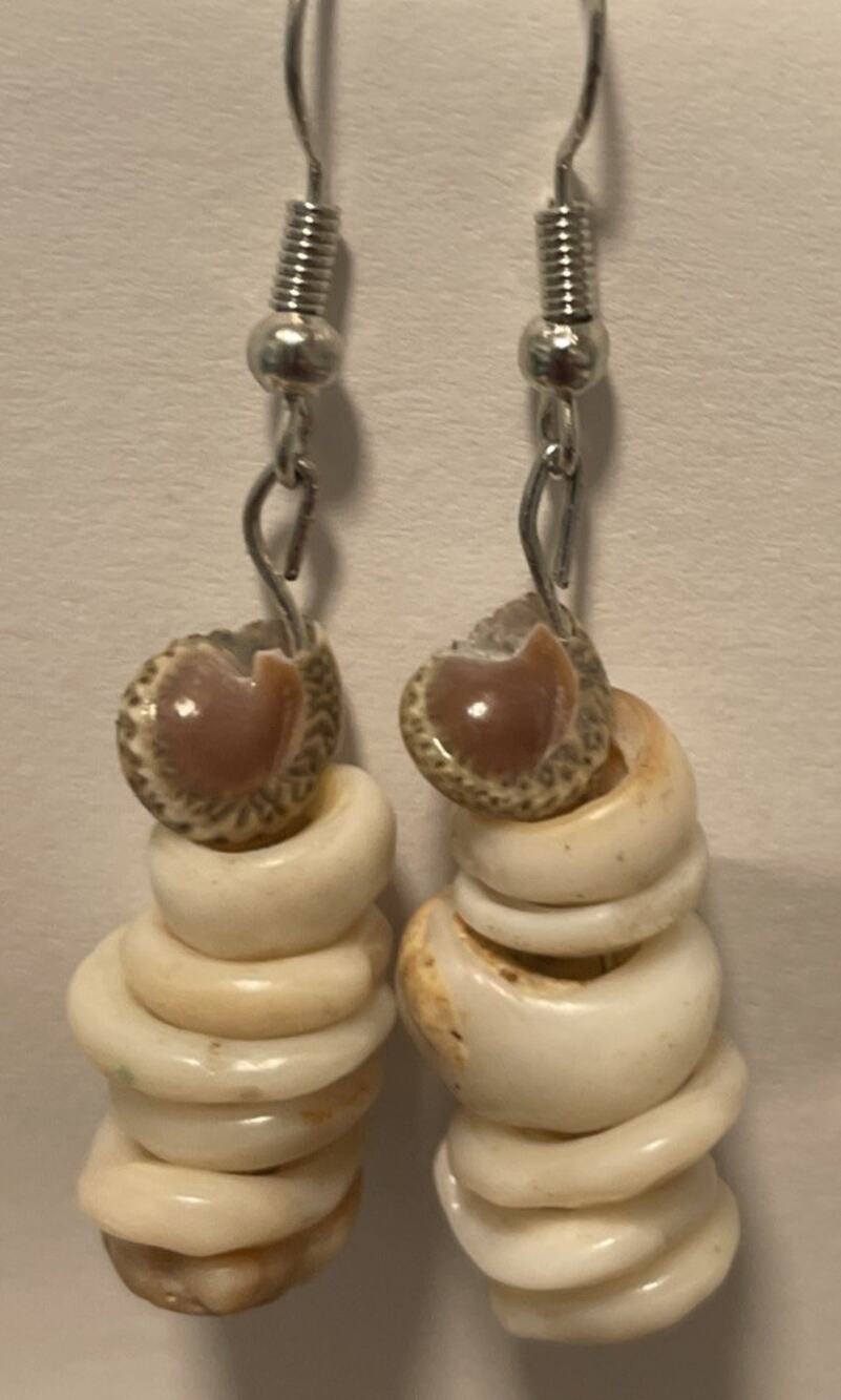 Hawaiian Handmade Umbonium costatum and Puka shells Dangly Earring Set 1”